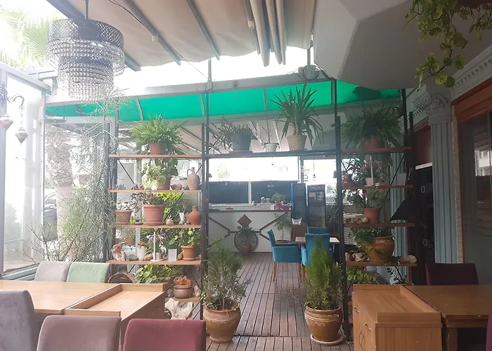 酒店 泰欧斯酒店 2*