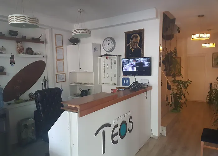 酒店 泰欧斯酒店 2*