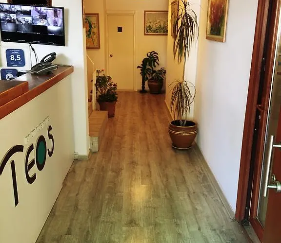酒店 泰欧斯酒店